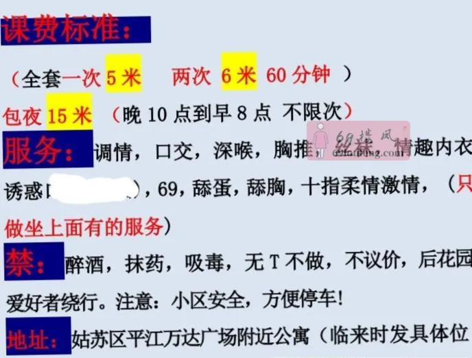 胸大肥臀骚女人 - 江苏-苏州 楼凤实拍第4张