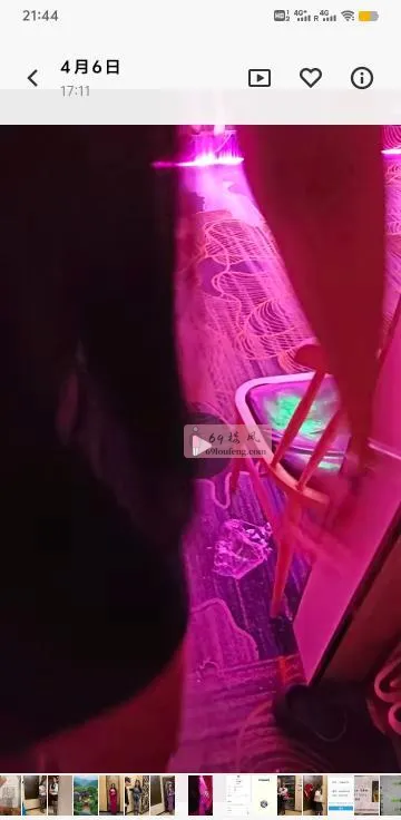 厦门莞式嫩模会所 - 福建-厦门 楼凤实拍第4张