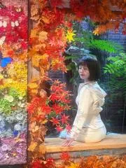 水床绝活少妇 在线预约参考图 - 辽宁 - 沈阳站街快餐