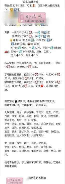 汉阳SM三通午夜 - 湖北-武汉 楼凤实拍第4张