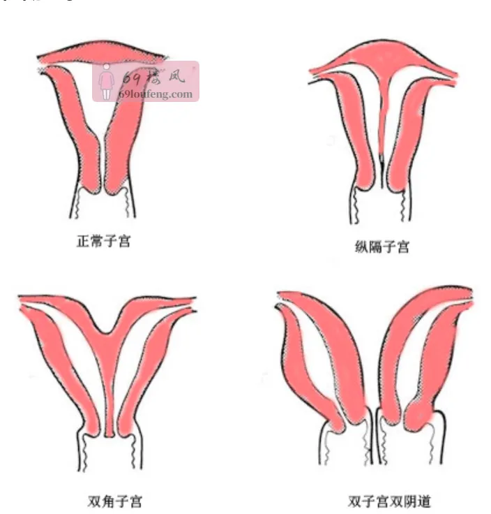 嘉定双阴道舒玉姐 - 上海-嘉定区 楼凤实拍第4张