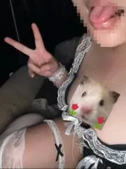 河北 - 石家庄 宅男福利推荐：石家庄BBW小奶包 实景