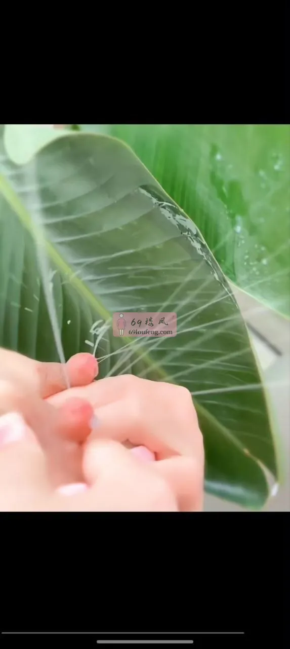 白云哺乳期巨乳-奶妈 - 广东-广州 楼凤实拍第4张