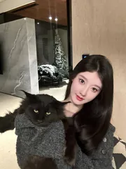 香港 - 油尖旺區轻舞 玩家真实反馈图