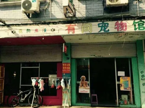 横店这两天没有zj 狼友实拍 浙江-金华