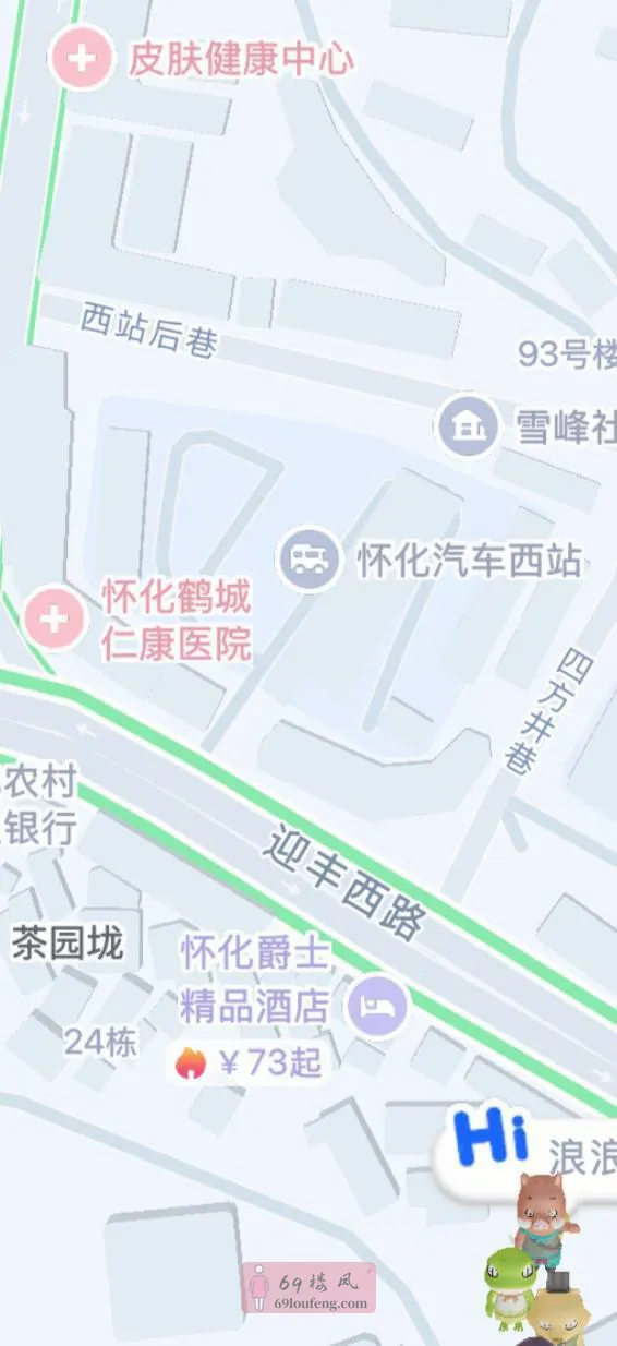 汽车站西站后街以及丽城宾馆附近也有零散的 - 湖南-怀化 楼凤实拍第1张
