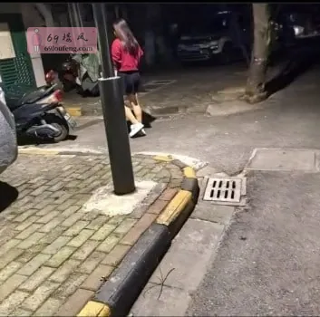 红山动物园亚朵酒店到轻居酒店之间 - 江苏-南京 楼凤实拍第1张