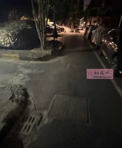 昨晚上吃完饭回家 - 江苏-南京 楼凤实拍第1张