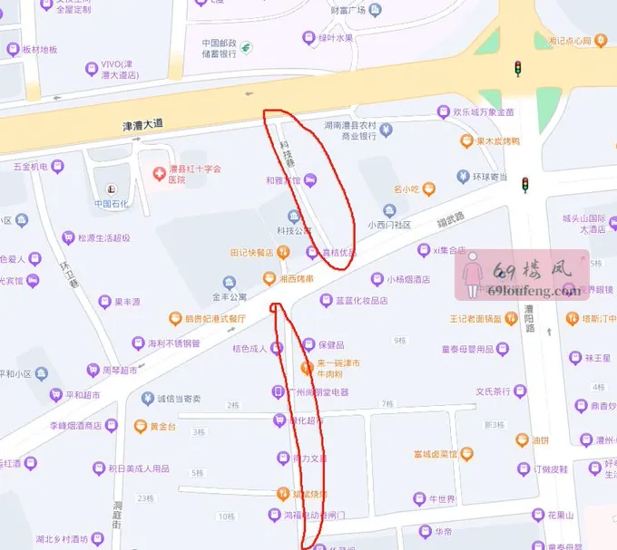 湖南常德澧县 - 湖南-常德-澧县 楼凤实拍第1张