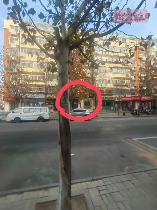 天津扫街出击时刻 - 天津 楼凤实拍第2张