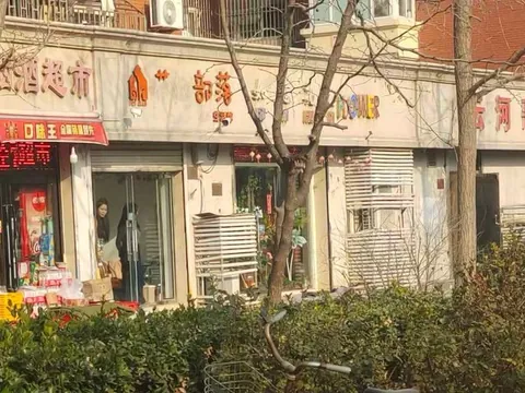 扫街出击时刻 巷子 天津