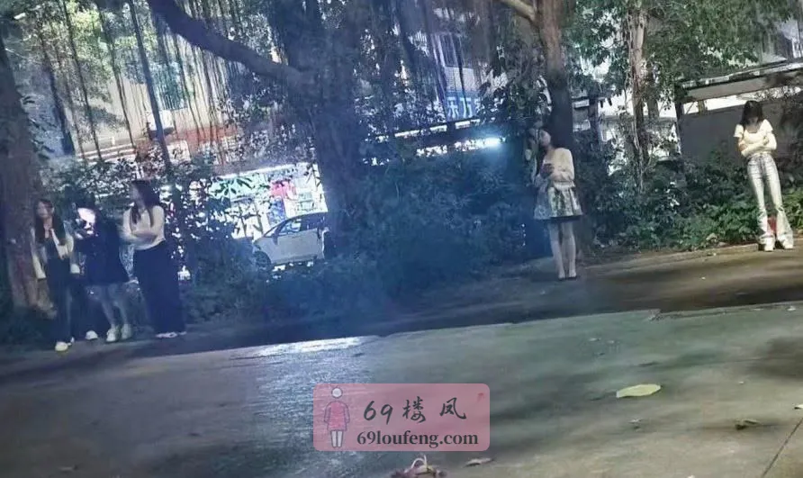 惠州惠城区站街爽歪歪年轻漂亮晚上女孩都陆 - 广东-惠州 楼凤实拍第1张