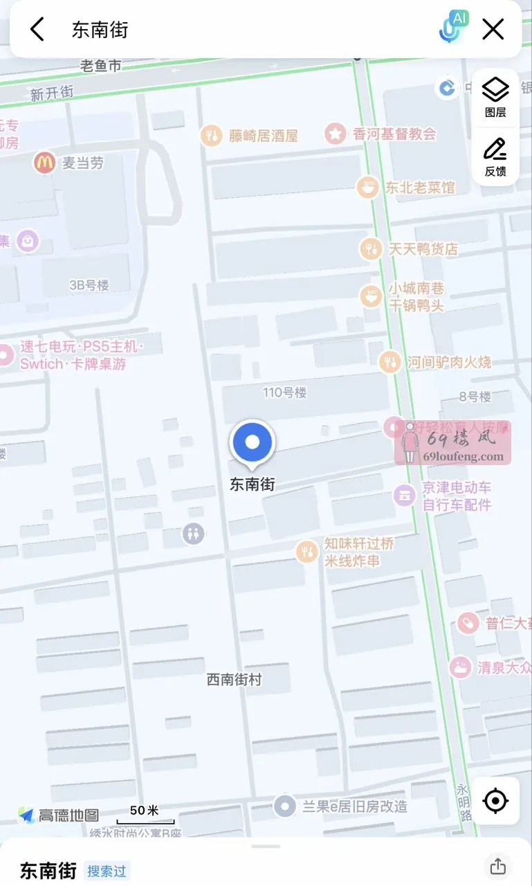 廊坊香河东南街巷子 - 河北-廊坊 楼凤实拍第1张
