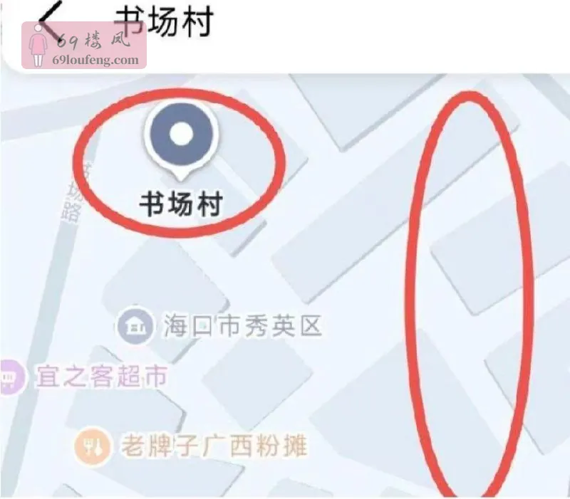 书场街站街爽记 - 海南-海口 楼凤实拍第1张