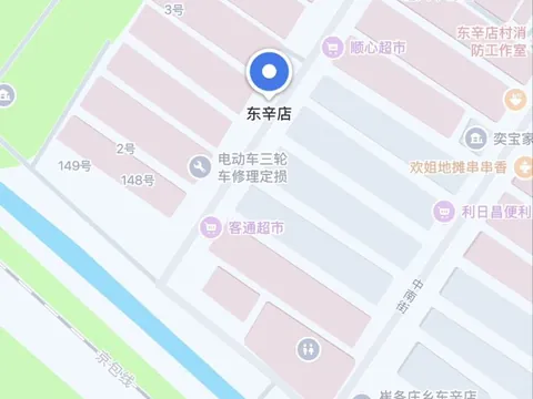 朝阳区东辛店站街 - 北京 快餐扫街实拍