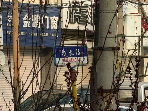 北长路这一条路以及周边都有是那种小店的玻 - 天津 巷子里爱情故事实拍
