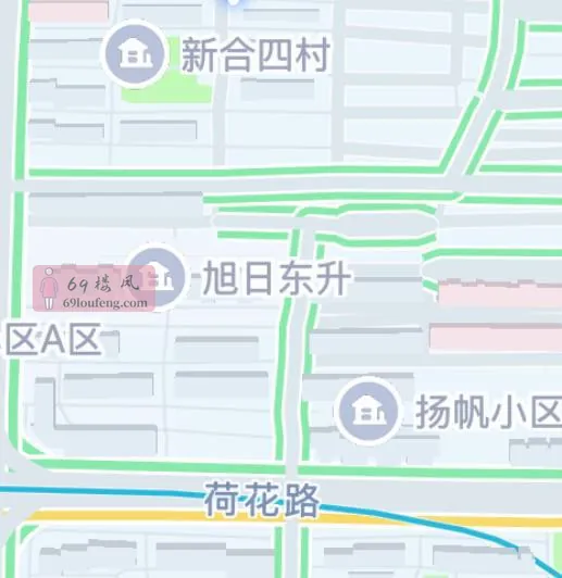 新合四村 - 湖南 楼凤实拍第1张