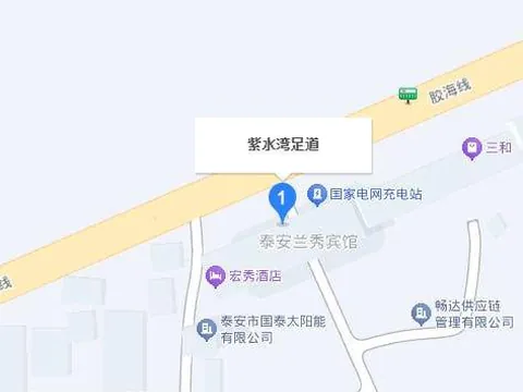 紫水湾足道，便宜会所，98可谈 巷子实拍 山东-泰安