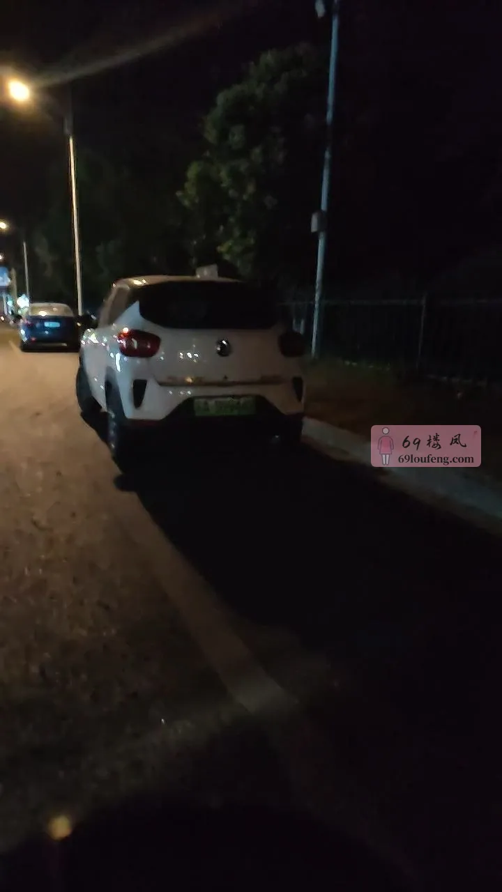 莱茵达路金宝装饰城停车场路边 - 江苏-南京 楼凤实拍第1张