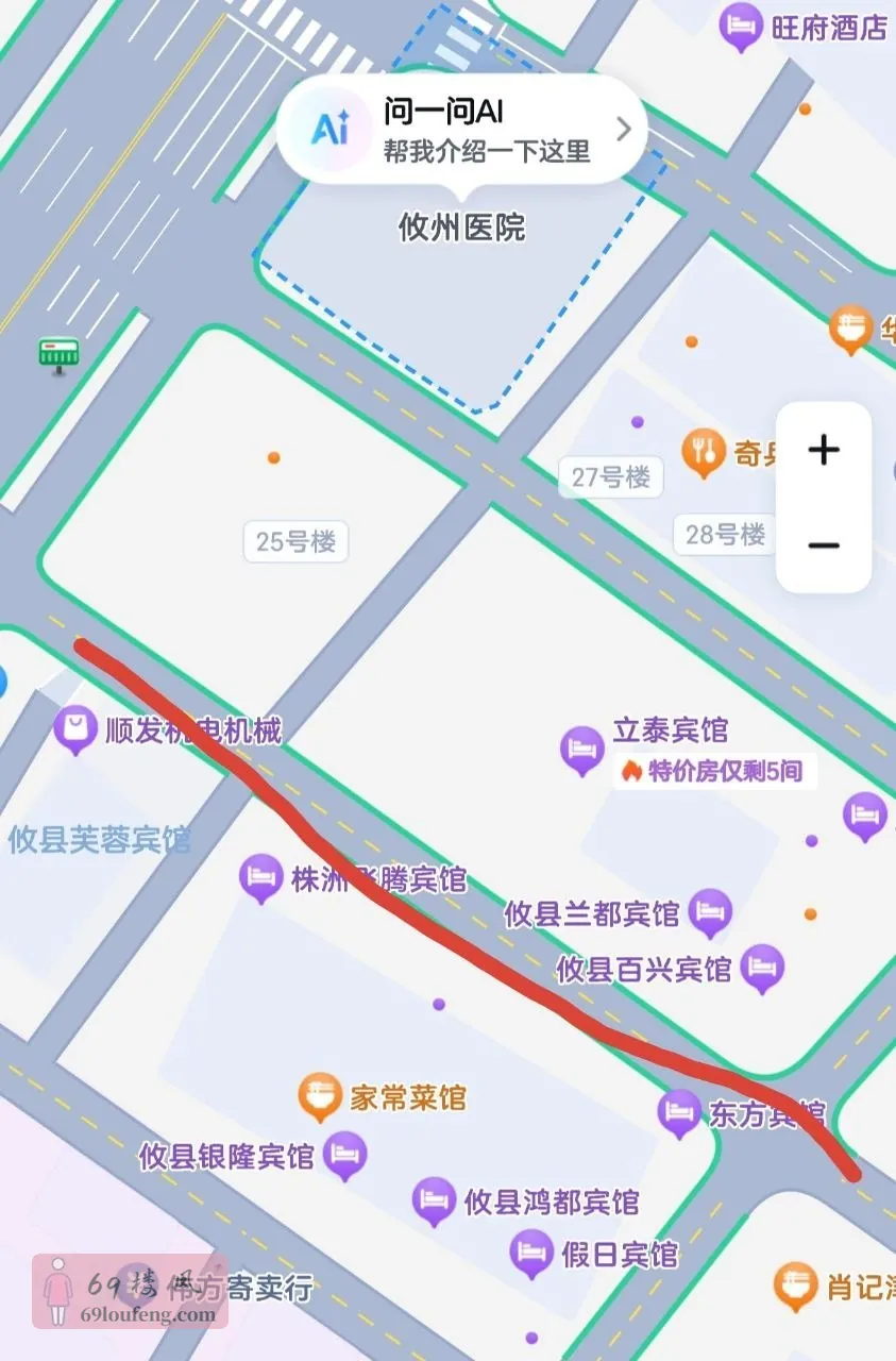 攸县医院附近一条街 - 湖南-株洲-攸县 楼凤实拍第1张