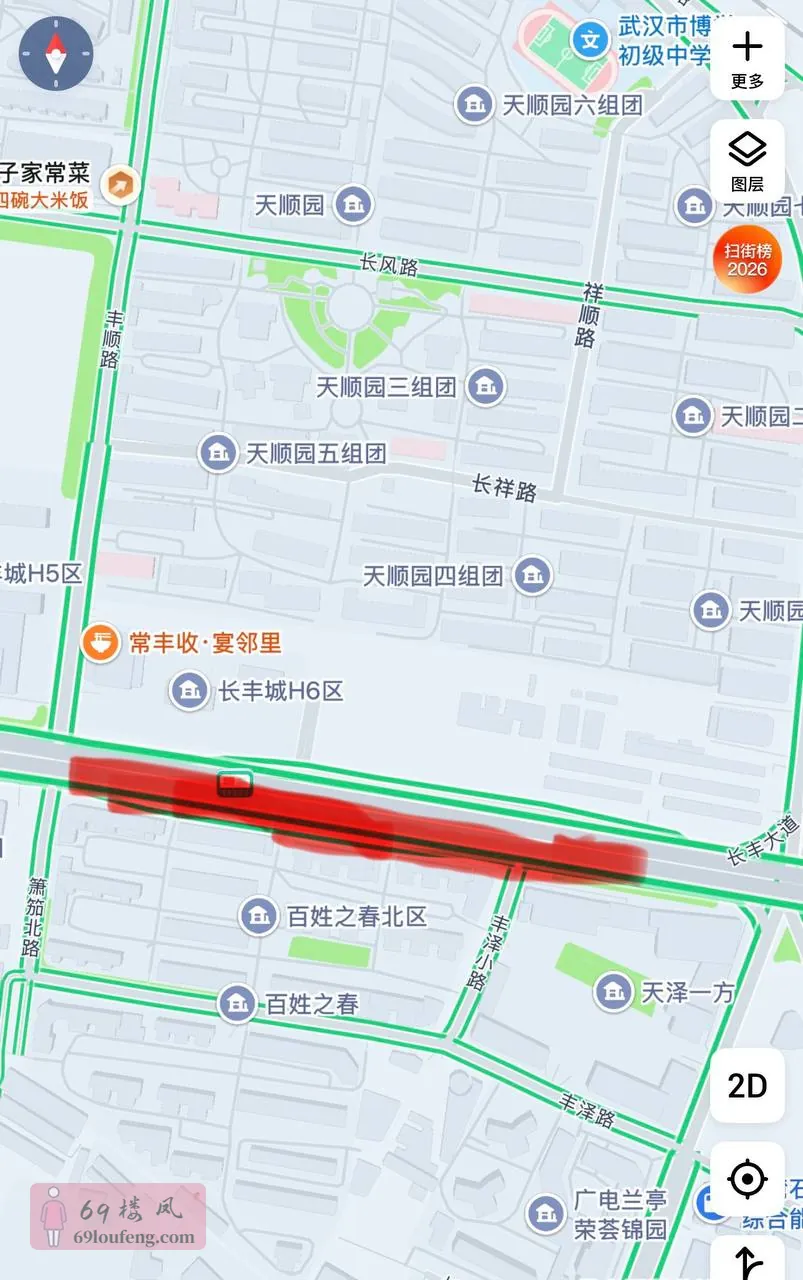 长丰路高架那里有四五家洗脚，门口坐着几个女的 - 湖北-武汉 楼凤实拍第1张