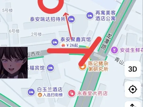 位置是泰山站后方的这条街20 山东-泰安 失足女实拍