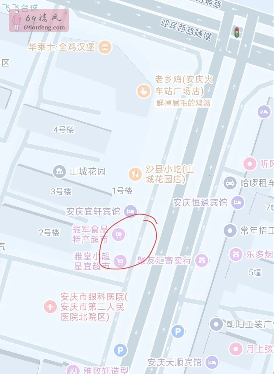 安庆站出来 - 安徽-安庆 楼凤实拍第1张