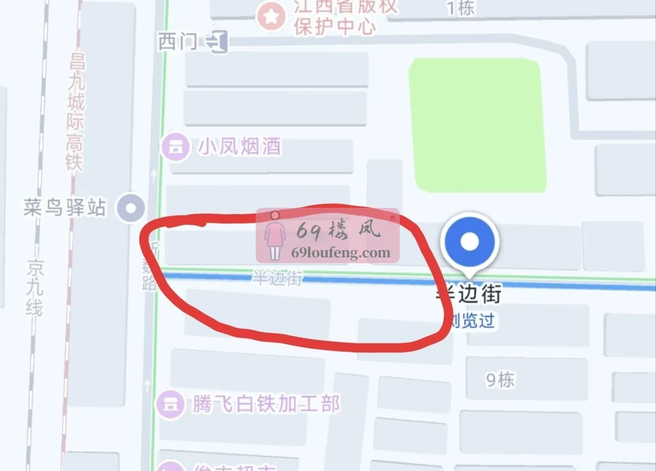 半边街后半段，靠近新魏路路口附近。 - 江西-南昌 楼凤实拍第1张