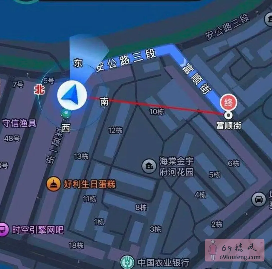 富顺街这条路 - 四川-成都 楼凤实拍第1张