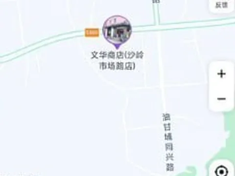 广东-东莞 市凤岗镇文华商店（沙岭市场路店）沙岭市场 站街女实拍图