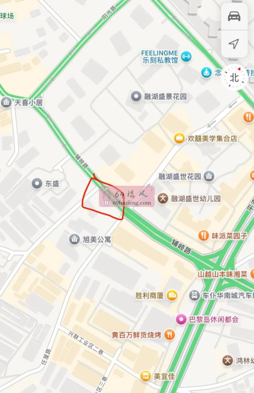 这里有几只骑着电动车的走地鸡 - 广东-深圳 楼凤实拍第1张