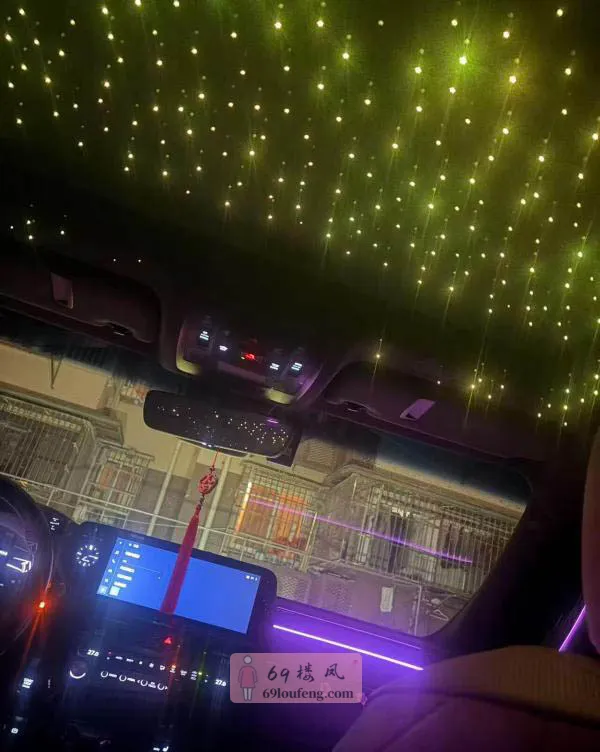 车震骚妇妞妞 - 江苏-南京 楼凤实拍第3张