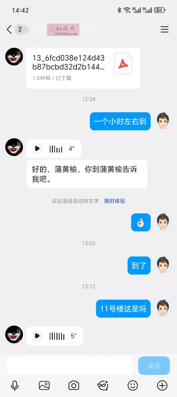 朝阳大胸泄火老逼 - 北京-朝阳区 楼凤实拍第3张