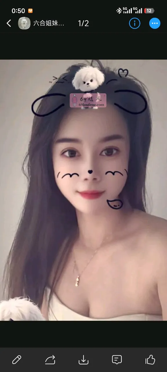 六合区双飞少妇 - 江苏-南京 楼凤实拍第1张