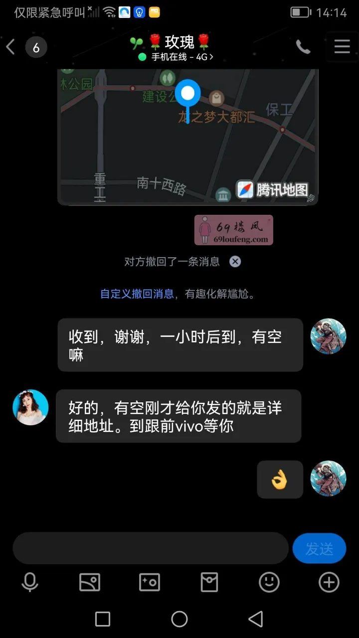 铁西玫瑰姐姐 泻火首选的少妇熟女 - 辽宁-沈阳 楼凤实拍第5张