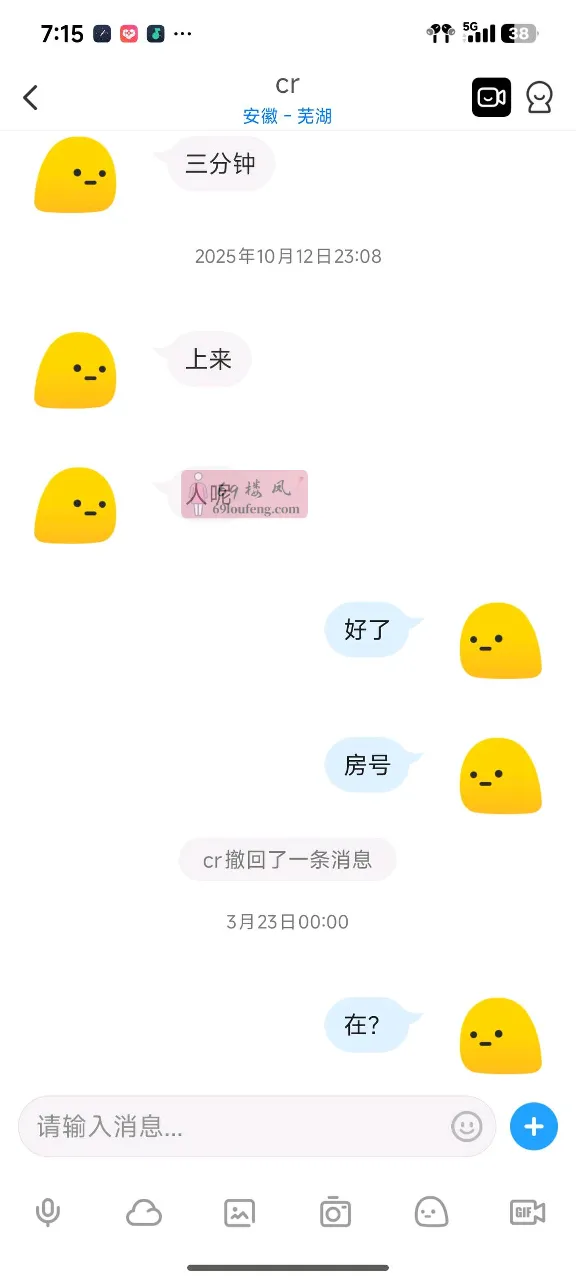芜湖可sm的性价比熟女 - 安徽-芜湖 楼凤实拍第5张