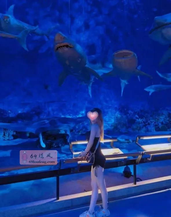 厦门美奶御姐 - 福建-厦门 楼凤实拍第2张