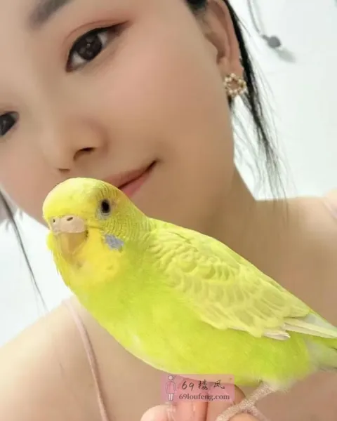 江岸个人半套小姐姐 - 湖北-武汉 楼凤实拍第1张