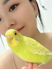 【独家】湖北 - 武汉 老师 江岸个人半套小姐姐 内部实拍