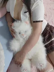 浙江 - 温州 楼凤圈口碑推荐：温州妹子娜娜 照片