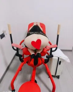 武汉奶兔 现场拍摄照片 (湖北 - 武汉)