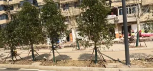 瑶海路边小店 安徽-合肥 失足女实拍