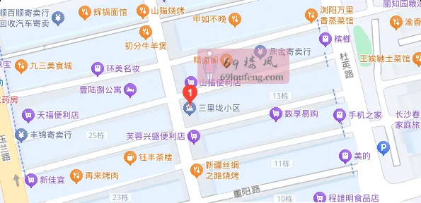 长沙三里垅小区站街 - 湖南-长沙 楼凤实拍第2张