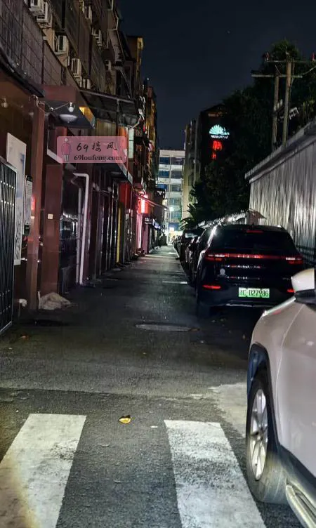 乐清市区小巷子5 - 浙江-温州 楼凤实拍第3张