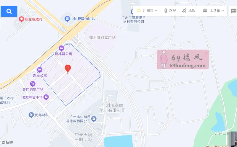 镇龙市场 - 广东-广州 楼凤实拍第2张