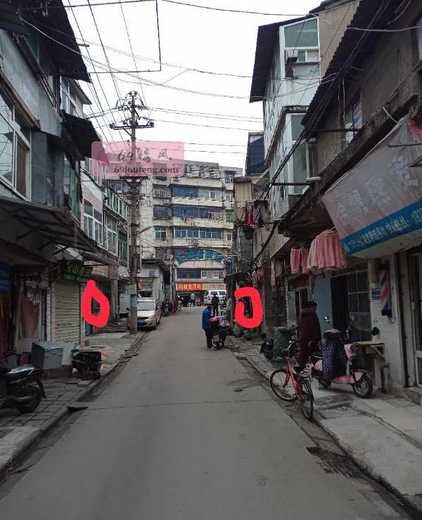 白沙洲卸货 - 湖北-武汉 楼凤实拍第1张