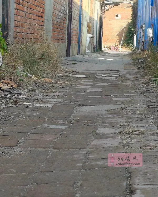 香河县攻略1 - 河北-廊坊 楼凤实拍第3张