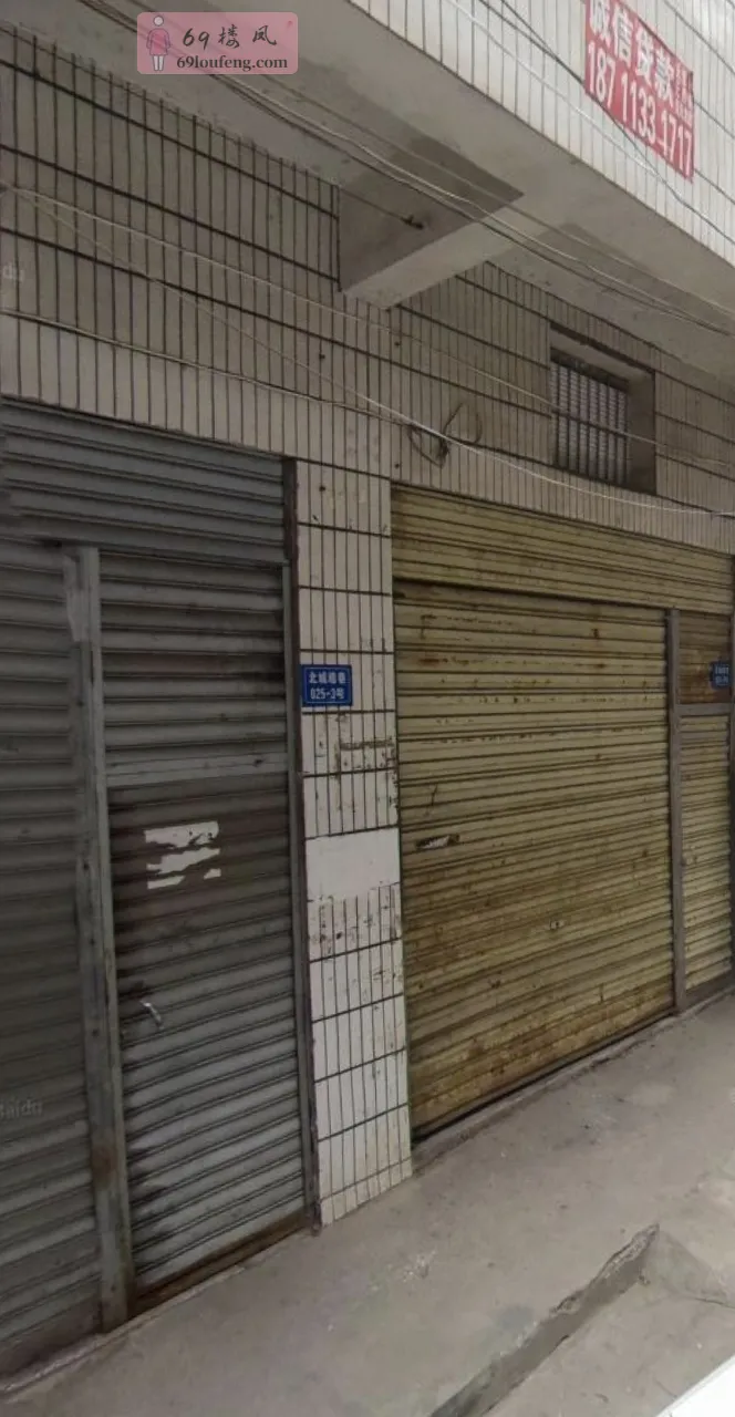 九里香巷 - 湖南-岳阳 楼凤实拍第1张