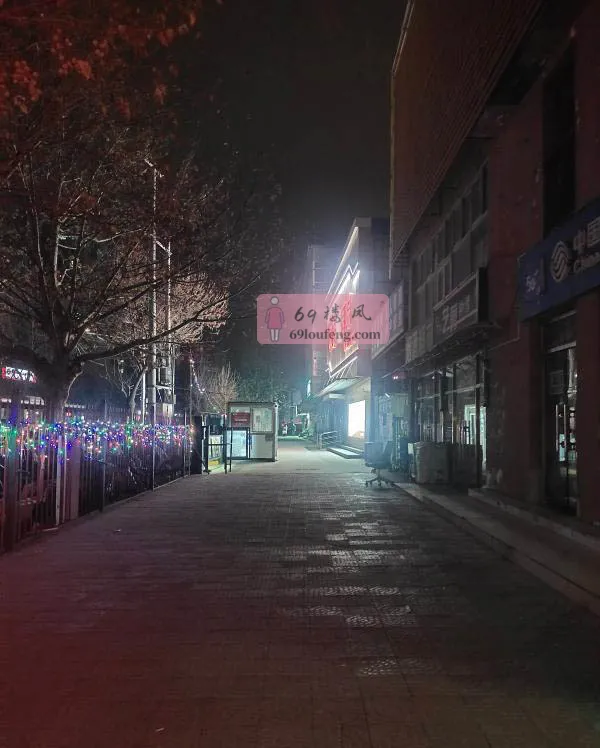 旧宫站街 - 北京-大兴区 楼凤实拍第3张