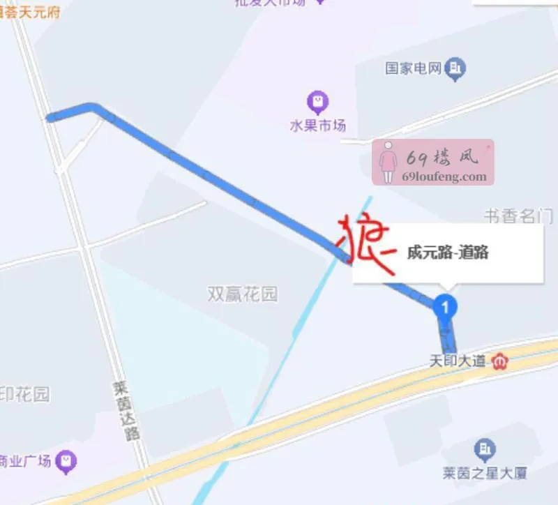 南京扫街 - 江苏-南京 楼凤实拍第2张